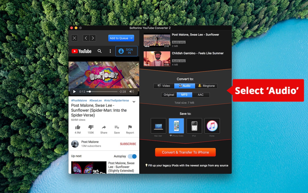 Select Audio and convert Vevo to MP3