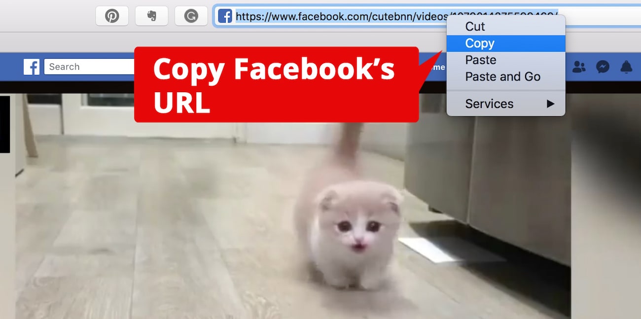 Download Facebook videos to iPhone